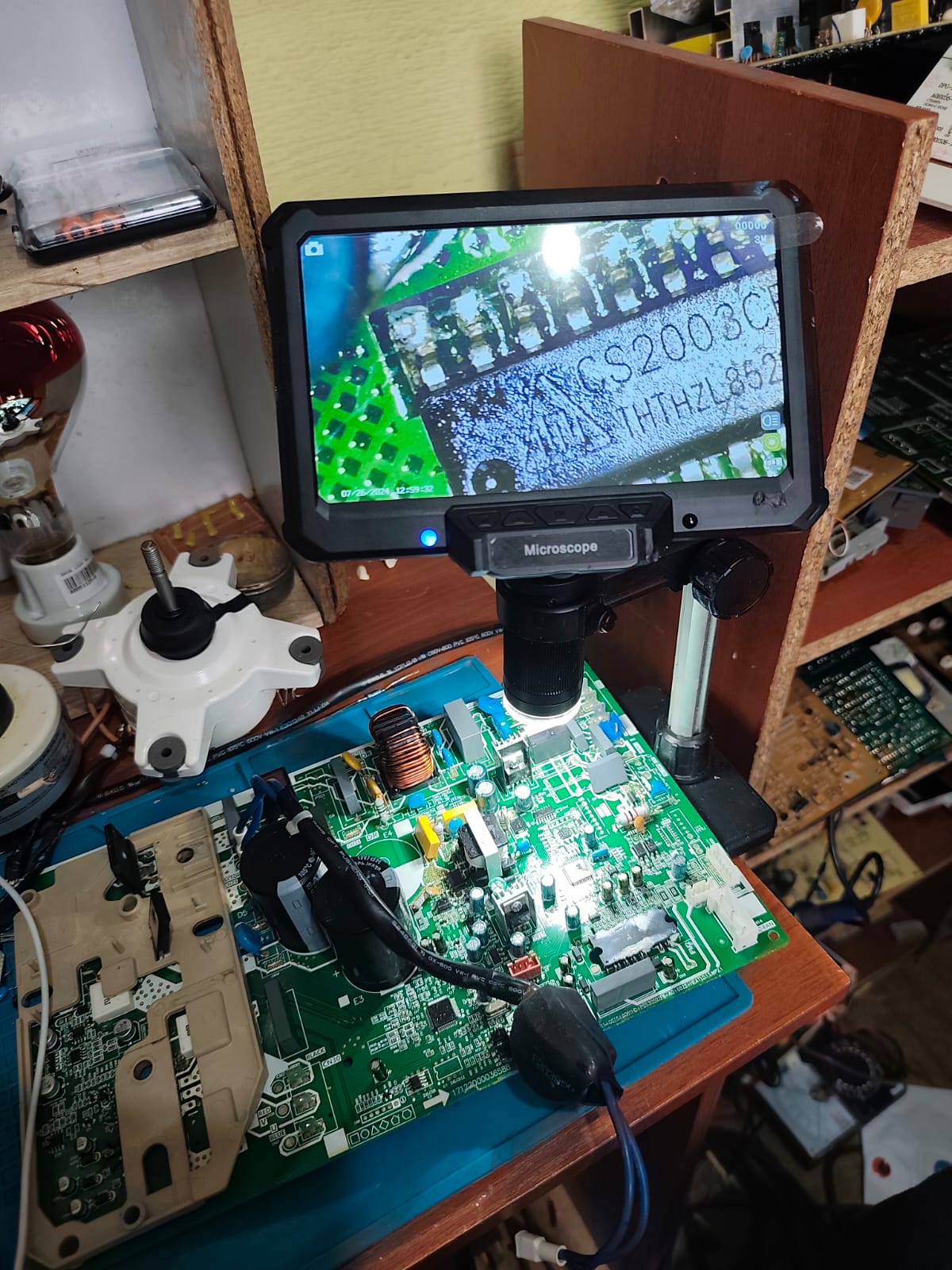 Inspección microscópica de placa